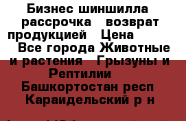 Бизнес шиншилла, рассрочка - возврат продукцией › Цена ­ 4 500 - Все города Животные и растения » Грызуны и Рептилии   . Башкортостан респ.,Караидельский р-н